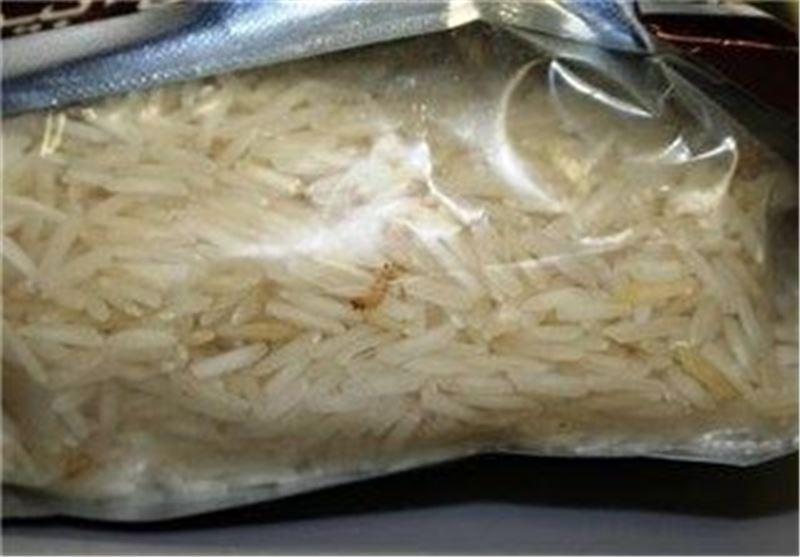 روسیه واردات برنج هندی را ممنوع نمود