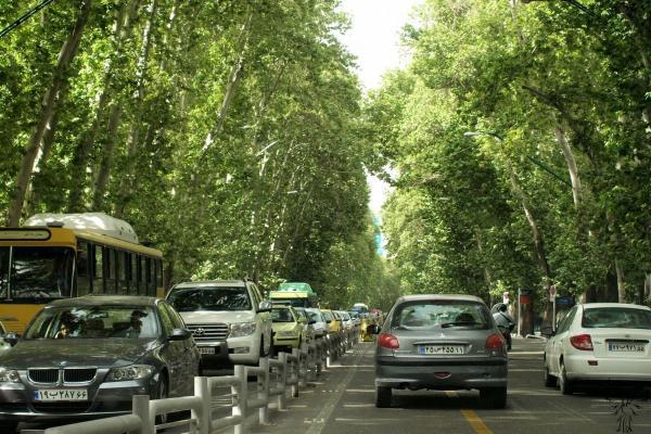 شرح شهرداری درباره خشک شدن درختان خیابان ولیعصر
